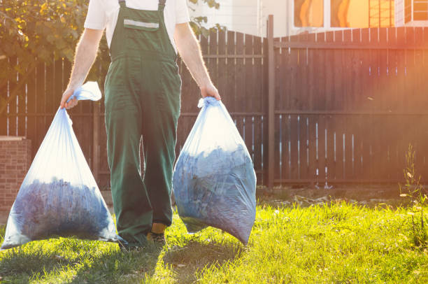 Best Shed Removal  in Mango, FL